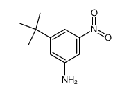 3-tert-butyl-5-nitro-aniline结构式