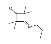 2,2,4,4-tetramethyl-3-propyliminocyclobutan-1-one结构式