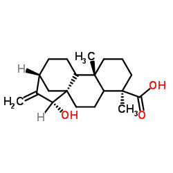 15β-Hydroxy-(-)-kaur-16-en-19-oic acid图片