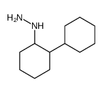 (2-cyclohexylcyclohexyl)hydrazine Structure