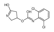 (5-oxopyrrolidin-3-yl) N-(2,6-dichlorophenyl)carbamate结构式