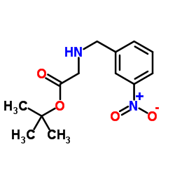 2-Methyl-2-propanyl N-(3-nitrobenzyl)glycinate结构式