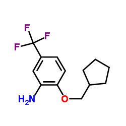 2-(Cyclopentylmethoxy)-5-(trifluoromethyl)aniline Structure