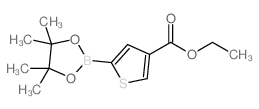 5-(4,4,5,5-四甲基-1,3,2-二氧杂硼杂环戊烷-2-基)噻吩-3-羧酸乙酯结构式