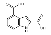 1H-indole-2,4-dicarboxylic acid Structure