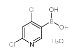 2,4-dichloropyridine-5-boronic acid hydrate structure