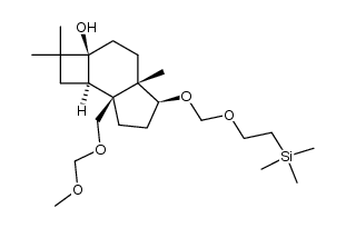 (2aS,4aS,7aS,7bR)-decahydro-7a-(methoxymethoxy)-2,2,4a-trimethyl-5-[[2-(trimethylsilyl)ethoxy]methoxy]-2aH-cyclobut[e]inden-2a-ol结构式