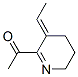 Ethanone, 1-(3-ethylidene-3,4,5,6-tetrahydro-2-pyridinyl)- (9CI) structure