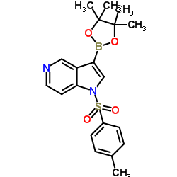 1-Tosyl-5-azaindole-3-boronic acid pinacol ester structure