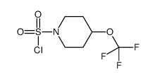 4-(Trifluoromethoxy)-1-piperidinesulfonyl chloride Structure