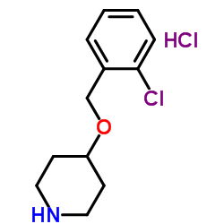 4-[(2-Chlorobenzyl)oxy]piperidine hydrochloride structure