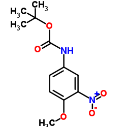 2-Methyl-2-propanyl (4-methoxy-3-nitrophenyl)carbamate Structure