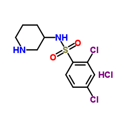 2,4-Dichloro-N-piperidin-3-yl-benzenesulfonamide hydrochloride Structure