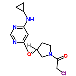 2-Chloro-1-[(3R)-3-{[6-(cyclopropylamino)-4-pyrimidinyl]oxy}-1-pyrrolidinyl]ethanone结构式