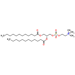 1,2-Dilauroyl-sn-glycero-3-phosphocholine structure