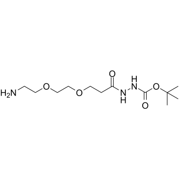 Amino-PEG2-C2-hydrazide-Boc结构式