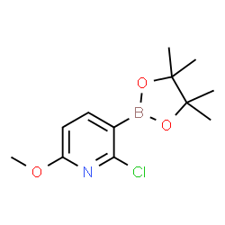 2-Chloro-6-methoxypyridine-3-boronic acid pinacol ester结构式