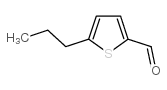 5-PROPYL-THIOPHENE-2-CARBALDEHYDE picture