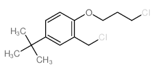 2-(chloromethyl)-1-(3-chloropropoxy)-4-tert-butyl-benzene结构式
