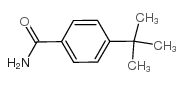 4-tert-butylbenzamide Structure