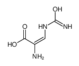 2-amino-3-(carbamoylamino)prop-2-enoic acid Structure