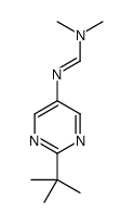 N'-(2-tert-butylpyrimidin-5-yl)-N,N-dimethylmethanimidamide Structure