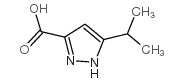 5-ISOPROPYL-2H-PYRAZOLE-3-CARBOXYLIC ACID Structure