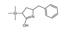5-benzyl-3-trimethylsilylpyrrolidin-2-one结构式