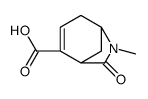 7-methyl-6-oxo-7-azabicyclo[3.2.1]oct-3-ene-4-carboxylic acid结构式