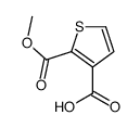 2-(甲氧羰基)噻吩-3-羧酸图片