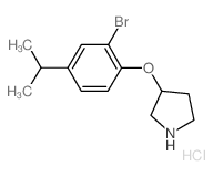 3-(2-Bromo-4-isopropylphenoxy)pyrrolidine hydrochloride结构式