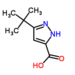 3-tert-butyl-1H-pyrazole-5-carboxylic acid Structure