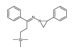 1-phenyl-N-(2-phenylaziridin-1-yl)-3-trimethylsilylpropan-1-imine Structure