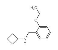 Benzenemethanamine, N-cyclobutyl-2-ethoxy- (9CI)结构式