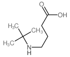 Butanoic acid,4-[(1,1-dimethylethyl)amino]-结构式
