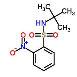 N-(tert-Butyl)-2-nitrobenzenesulfonamide structure