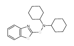 N,N-DICYCLOHEXYL-2 BENZOTHIAZOLE SULFENAMIDE picture
