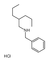 benzyl(2-propylpentyl)azanium,chloride结构式