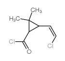 Cyclopropanecarbonyl chloride, 3-(2-chloroethenyl)-2,2-dimethyl- (9CI) structure