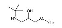 1-aminooxy-3-(tert-butylamino)propan-2-ol结构式