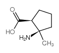 顺-2-氨基-2-甲基-环戊烷羧酸图片