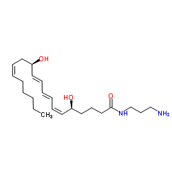 Leukotriene B4-3-aminopropylamide结构式
