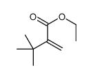 ethyl 3,3-dimethyl-2-methylidenebutanoate结构式