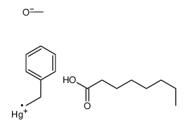 methoxy(2-phenylethyl)mercury,octanoic acid Structure