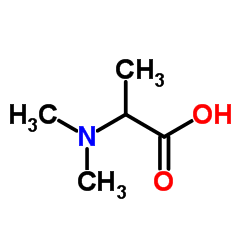 N,N-Dimethylalanine picture