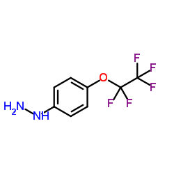 [4-(Pentafluoroethoxy)phenyl]hydrazine Structure