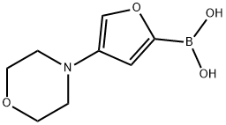 4-(Morpholino)furan-2-boronic acid图片