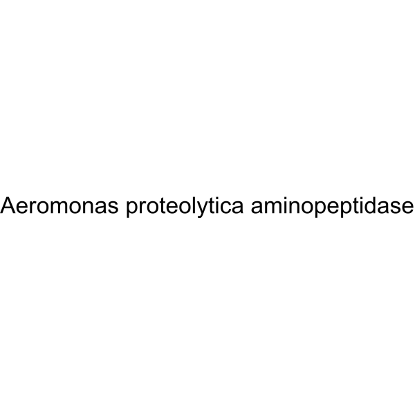 Native Aeromonas proteolytica Aminopeptidase Structure