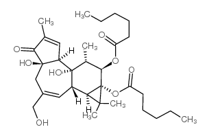 phorbol-12,13-dihexanoate structure