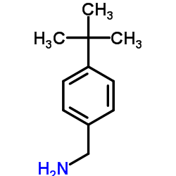 4-tert-Butylbenzylamine picture